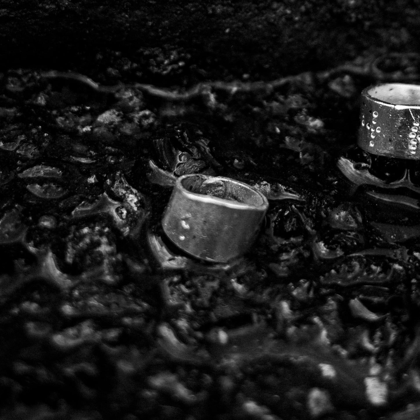 E11250211 - Dotted Armor Ring