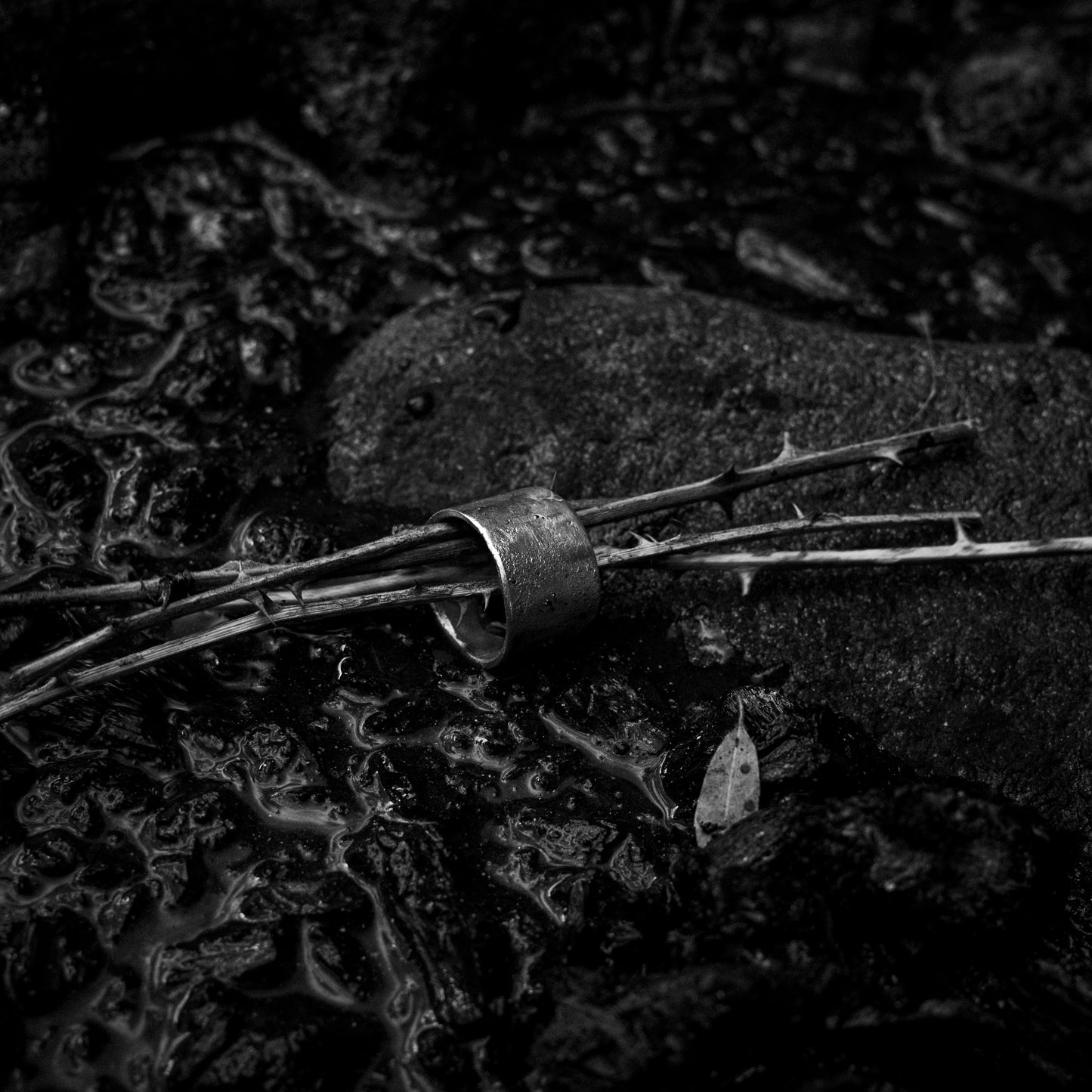 E11250216 - Vanished Armor Ring