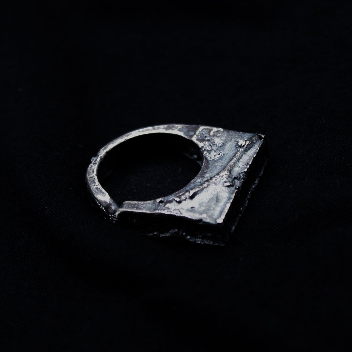 organic cast ring II : branch