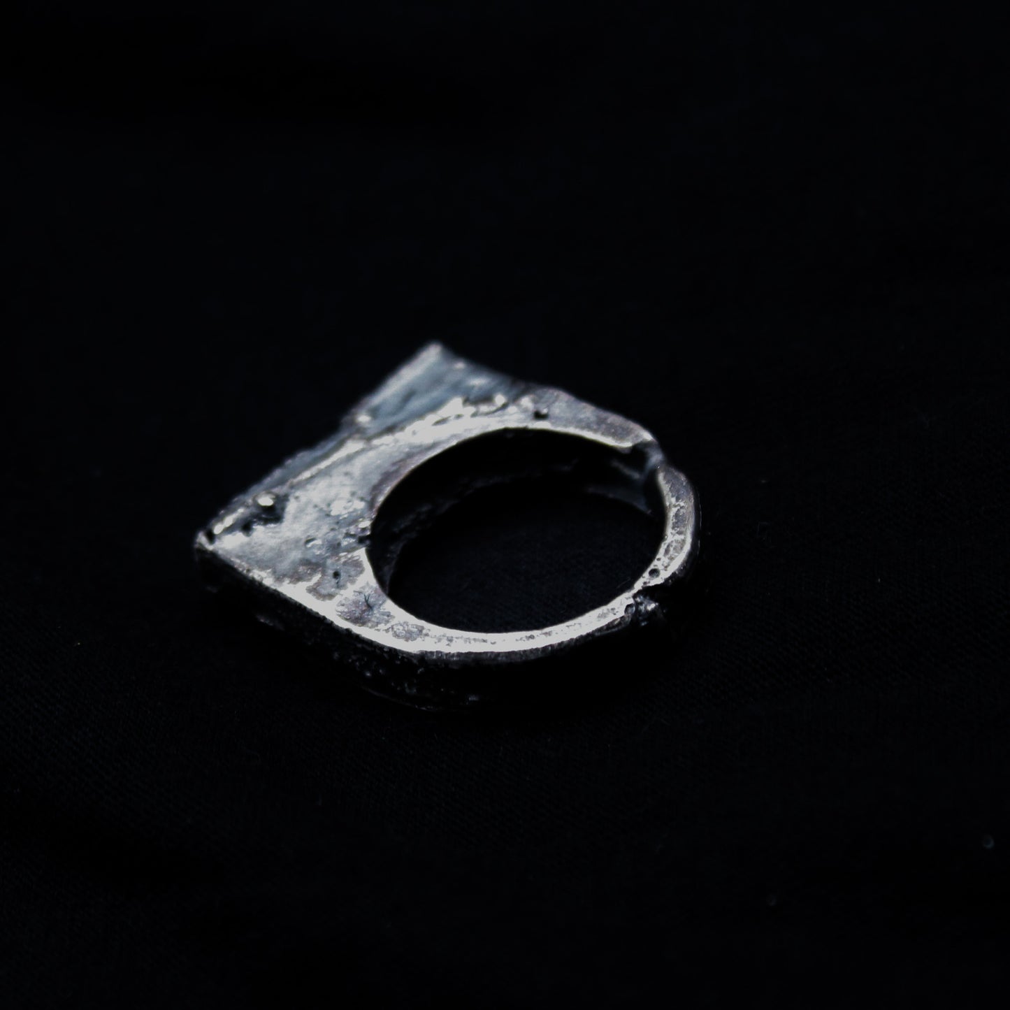 organic cast ring II : branch